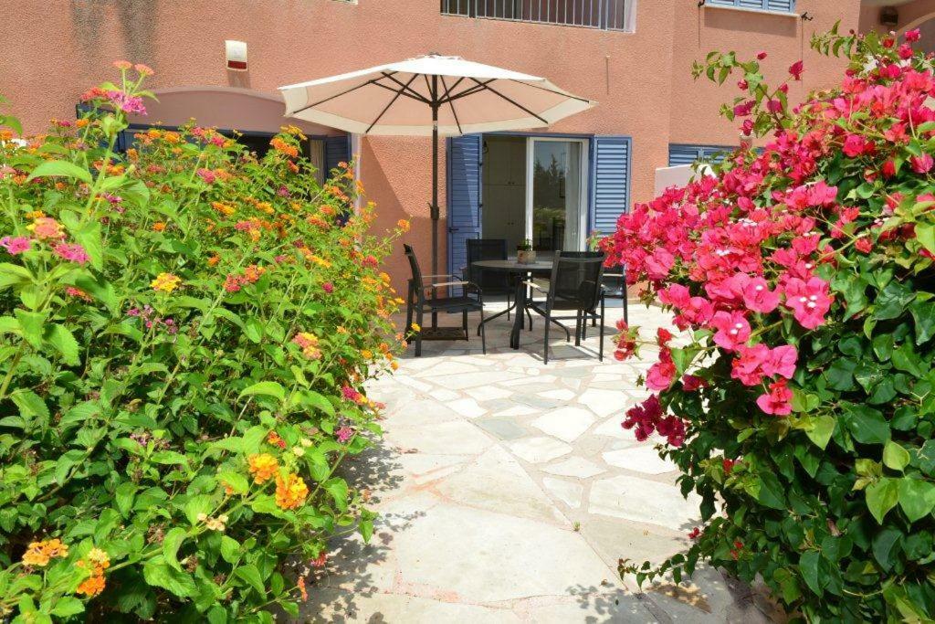 Limnaria Villas Sunny Garden Apartment Paphos Bagian luar foto